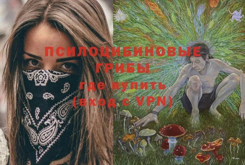 где продают   ОМГ ОМГ ТОР  Галлюциногенные грибы Magic Shrooms  Велиж 